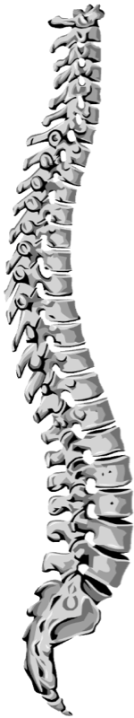 Stacks Image 516
